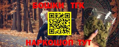 гидропоника Сланцы
