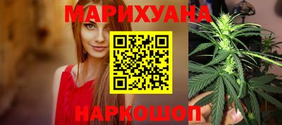 сатива Славгород