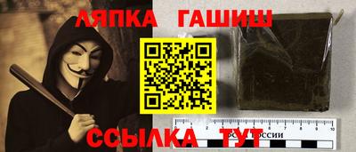 гидропоника Сланцы