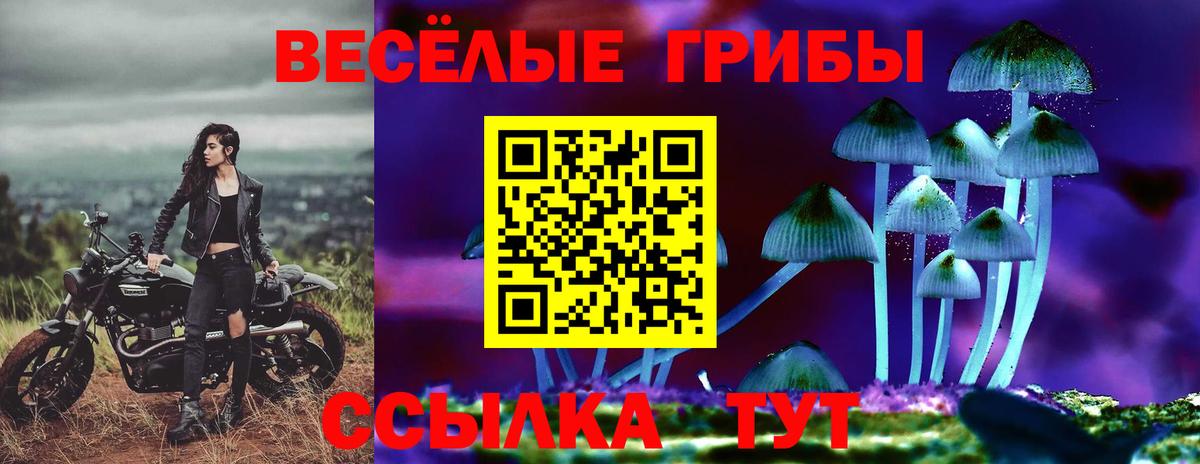 Псилоцибиновые грибы мицелий  хочу   Вход с VPN  Нефтекумск  Галлюциногенные грибы GOLDEN TEACHER 